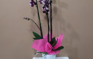 Floristería Rosavel